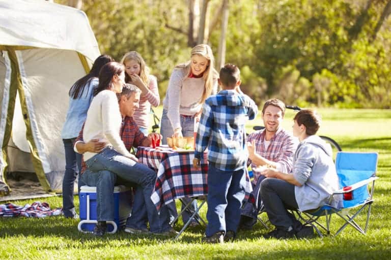 family enjoying a picnic outside