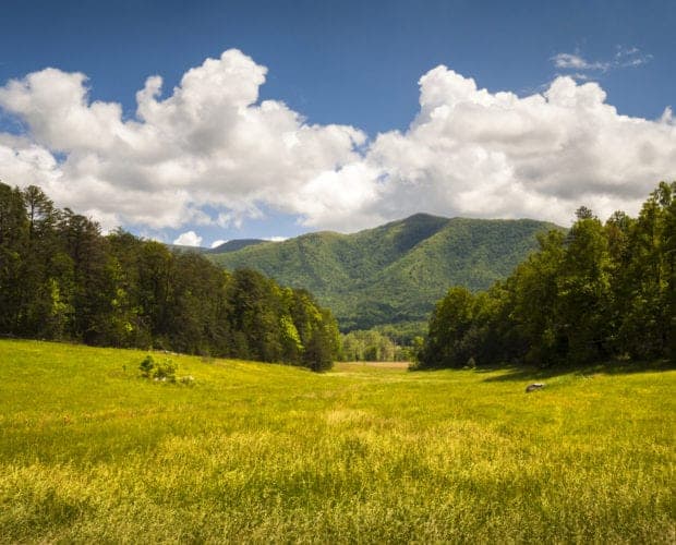 Cades Cove