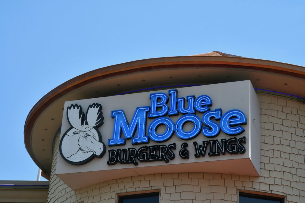 Don’t Moose This Restaurant!