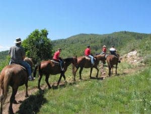 Family horseback riding in the Smoky Mountains through a Pigeon Forge hotel deal