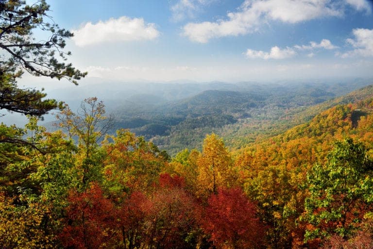 Fall color in the Smoky Mountains near our hotel in Pigeon Forge Tennessee.