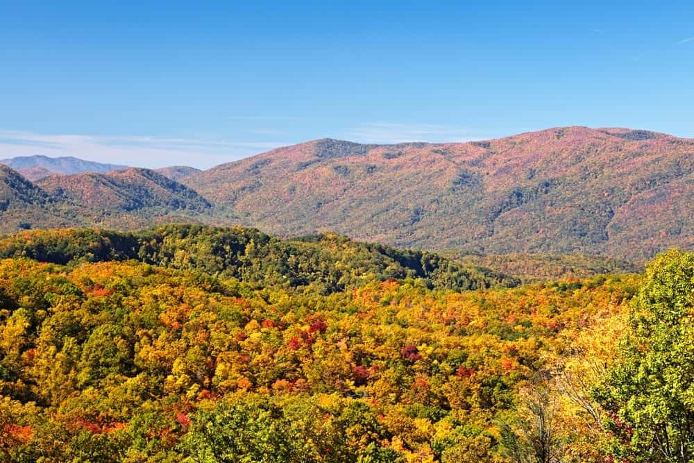 Top 4 Ways to Experience the Smoky Mountains Fall Colors