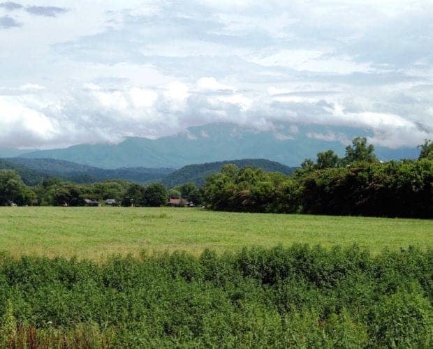 Beautiful photo of spring in the Smoky Mountains.