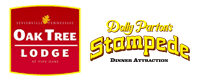 dolly parton's stampede