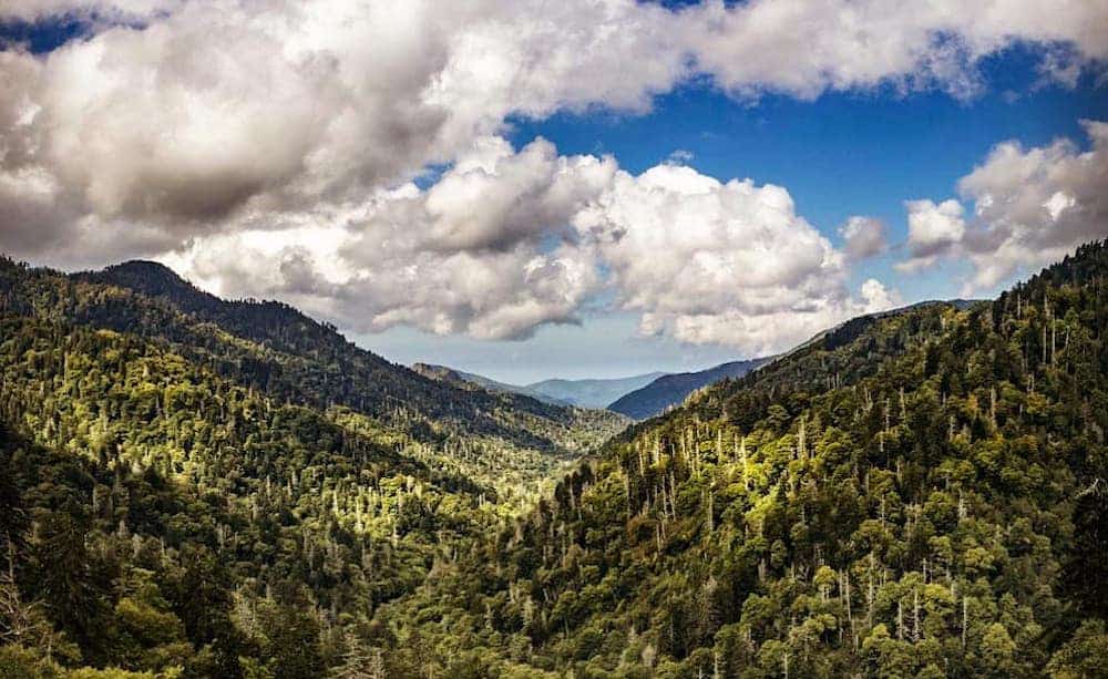 The 5 Best Free Things to Do in the Smoky Mountains