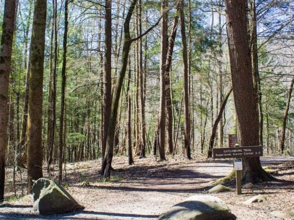 Gatlinburg Trail