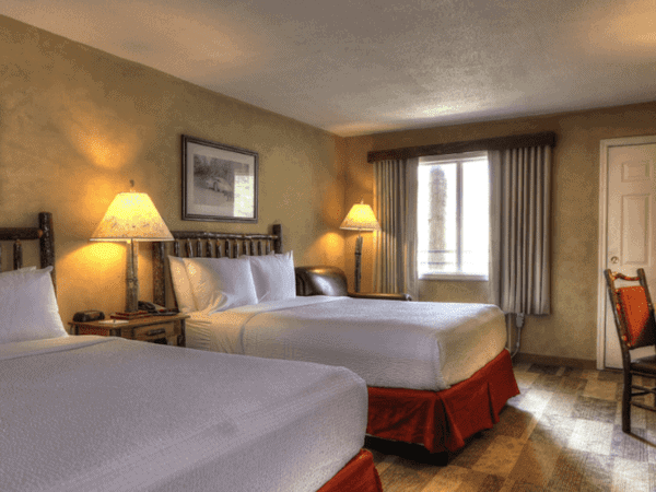 pet friendly room in sevierville hotel