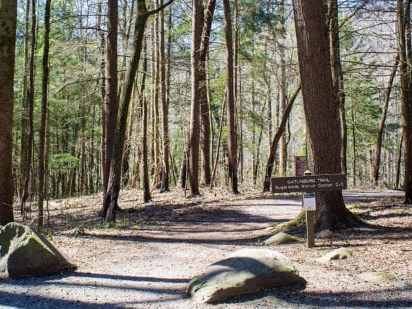 Gatlinburg Trail in Great Smoky Mountains