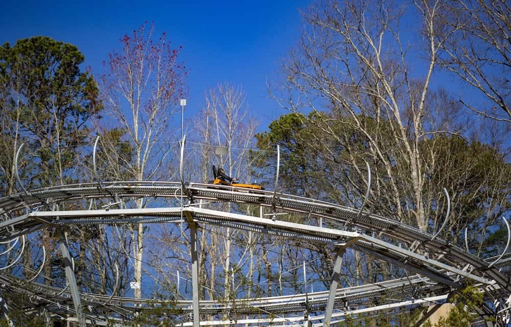 6 Mountain Coasters in Pigeon Forge and Gatlinburg You Have to Try