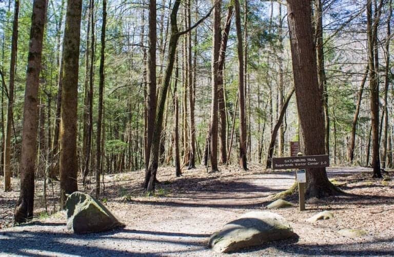 4 Best Hikes near Sevierville TN You Have to Try