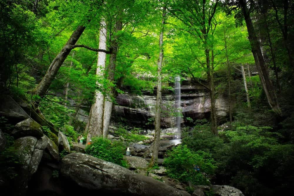 4 Best Hikes near Sevierville TN You Have to Try