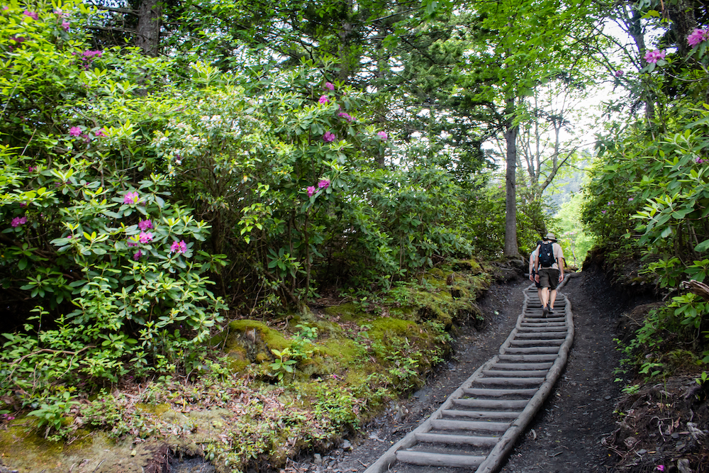 12 of the Best Spring Hikes in the Smoky Mountains